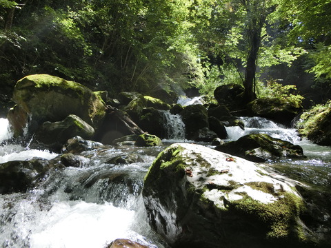 CIMG0048