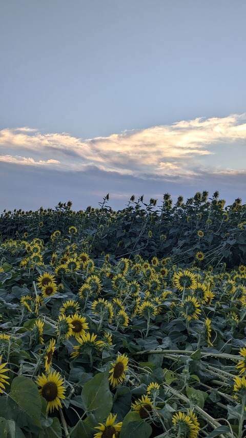 PXL_20240809_200826094