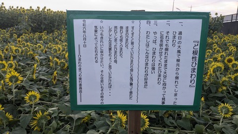 PXL_20240809_202226086