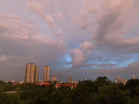 mmexport1564073731764