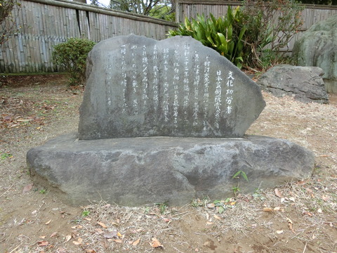 CIMG8003