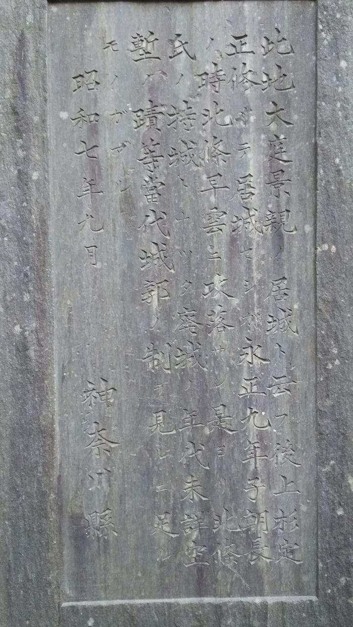 大庭神社旧蹟 元宮熊野社 延喜式内社 古代遺跡に囲まれた丘 臺谷戸稲荷 古代遺跡の台地に納得する水源と豊穣の神様の稲荷様 臺谷戸稲荷の椨 たぶ の木 神奈川の名木100選 歴史オタクの郷土史グルメ旅 久良岐のよし