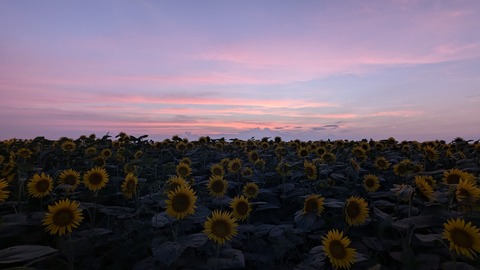 PXL_20240811_094945471