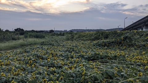 PXL_20240809_200533627