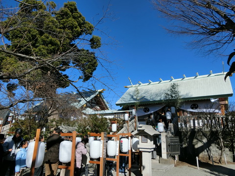 CIMG6237