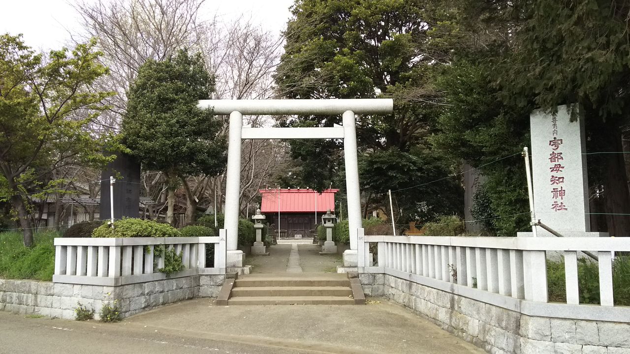宇津母知神社 相模国内の延喜式内社13座の一つ 藤沢市打戻 歴史オタクの郷土史グルメ旅 久良岐のよし