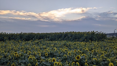 PXL_20240809_200741256