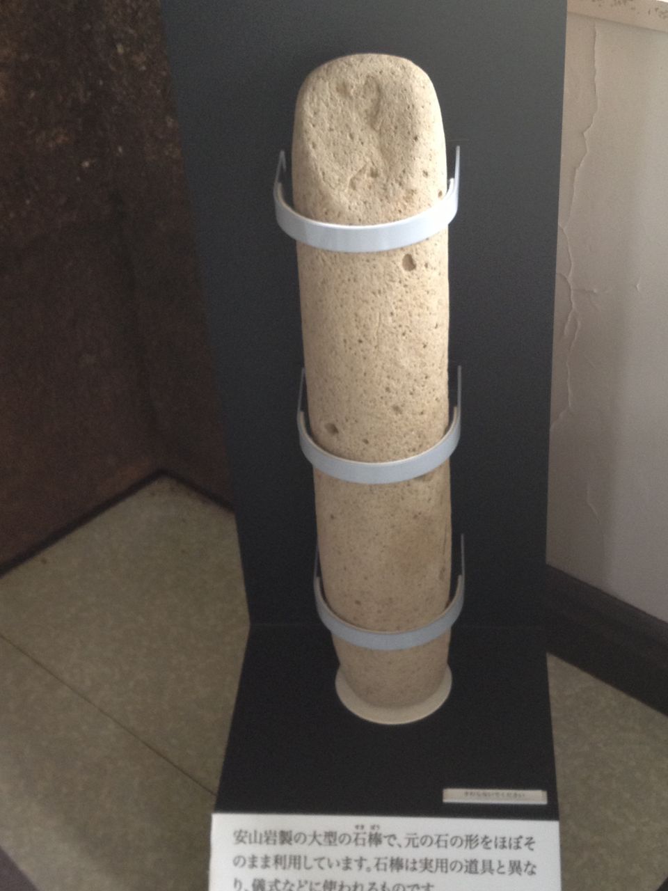 三殿台遺跡と笹下杉本遺跡 縄文 弥生時代の遺跡と 戦国時代の三人の殿様 横浜市南区港南区磯子区 歴史オタクの郷土史グルメ旅 久良岐のよし