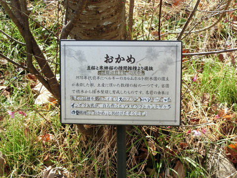 CIMG2623