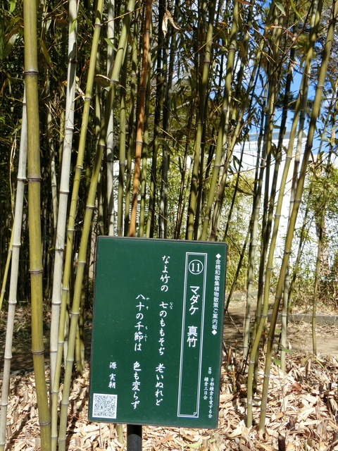 CIMG2630