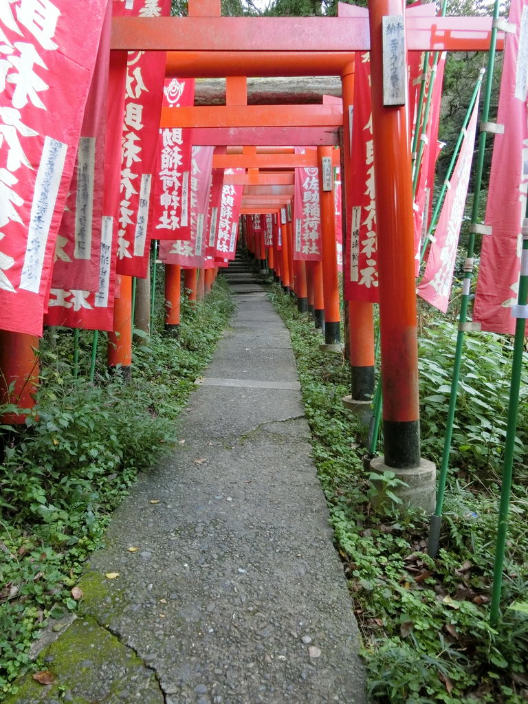佐助稲荷神社 源頼朝公が再興した 現代の映画ドラマロケ地で良く登場する鎌倉らしい静かで雰囲気の清浄な稲荷神社 歴史オタクの郷土史グルメ旅 久良岐のよし