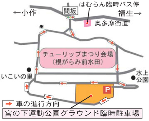 チューリップ祭り　公式　拝借画像　久良岐のよし