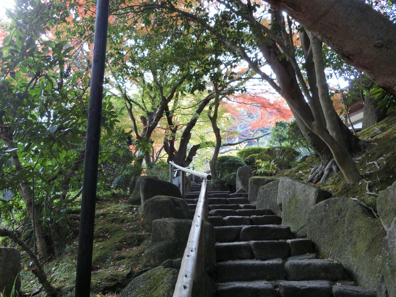 鎌倉市浄明寺地区の紅葉 報国寺 華頂宮邸 釈迦堂切通し 歴史オタクの郷土史グルメ旅 久良岐のよし