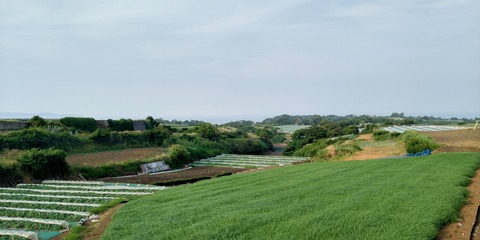 KIMG9210
