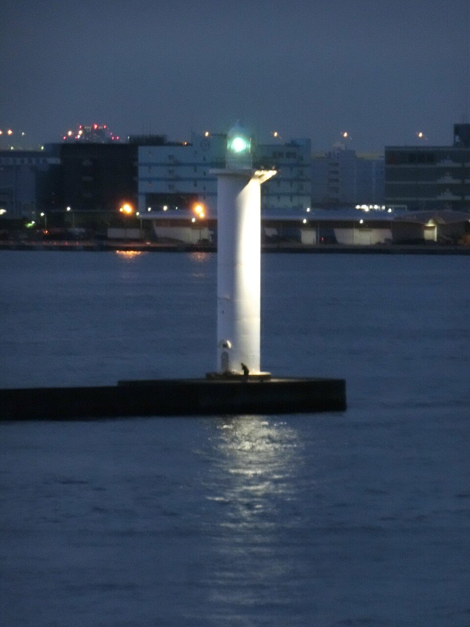 横浜港シンボルタワー夜景が奇麗な夏季夜間営業開始 昼なら芝生で遊んで三密回避 歴史オタクの郷土史グルメ旅 久良岐のよし 横浜港シンボルタワー夜景が奇麗な夏季夜間営業開始 昼なら芝生で遊んで三密回避 歴史オタクの郷土史グルメ旅 久良岐のよし