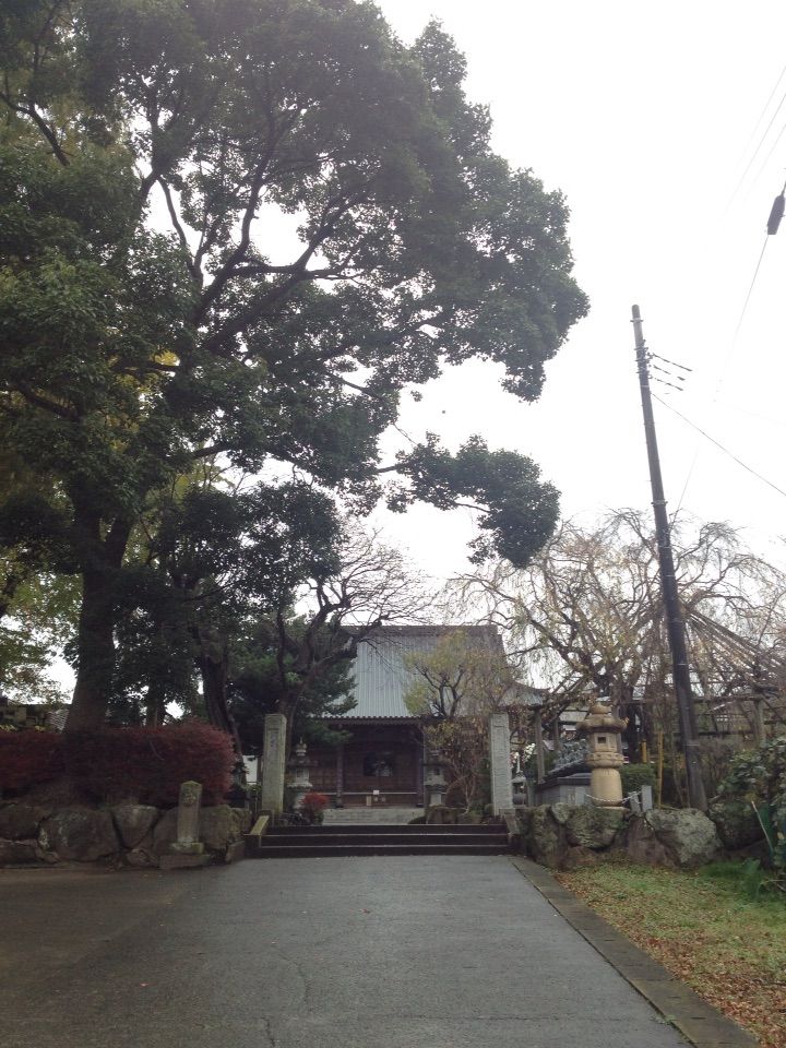 前篇 蟠龍山洞昌院公所寺 関東の文化保護に偉大な功績を残した太田道灌公の菩提寺 伊勢原市上糟屋 歴史オタクの郷土史グルメ旅 久良岐のよし