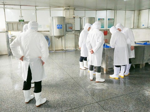 Raw material mixing plant