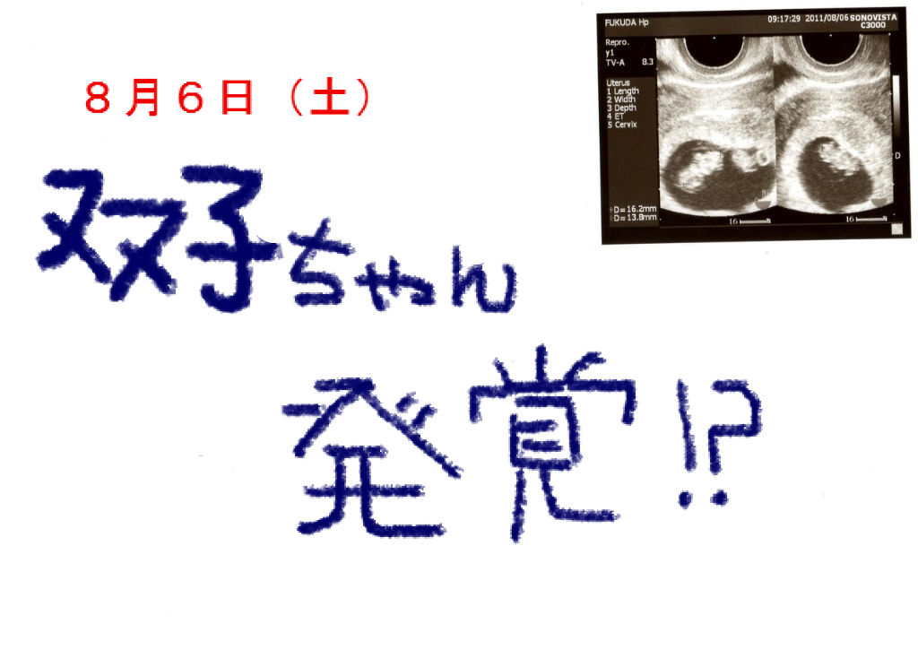 ８週と一日目 みかん日記