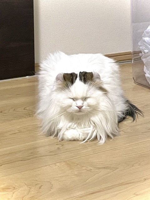 FullSizeRender