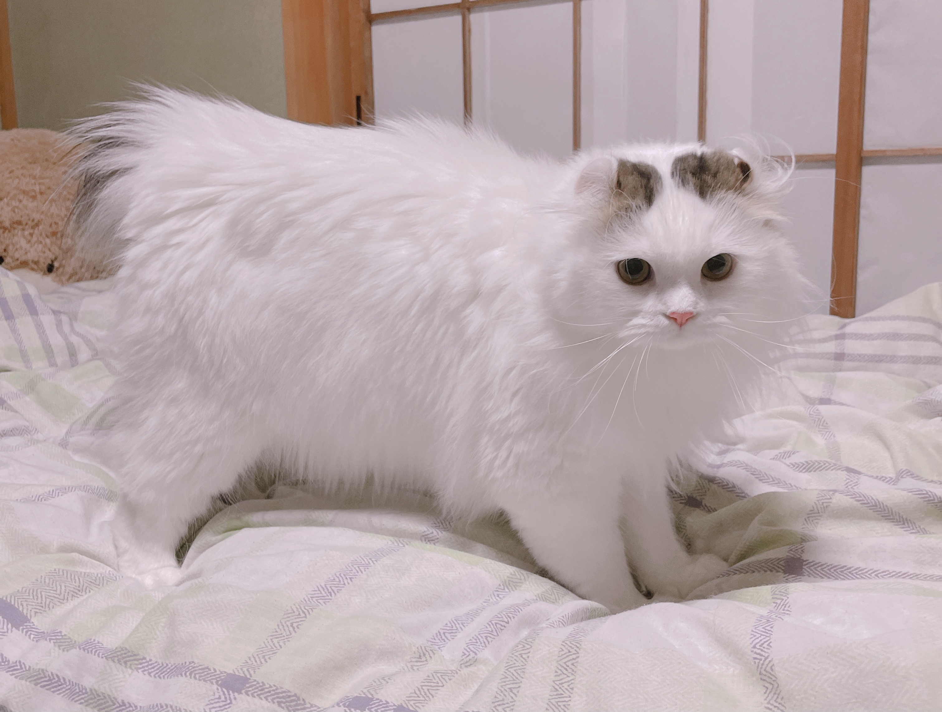 21年06月17日 ふうたくんの日常 21年06月17日 ふうたくんの日常