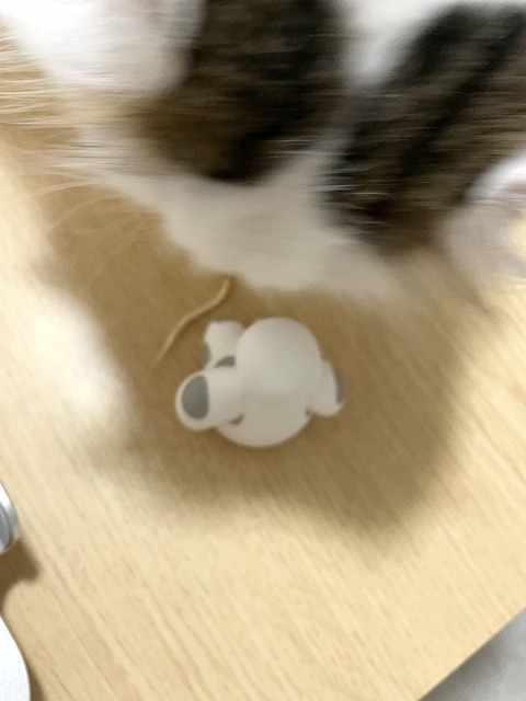 FullSizeRender