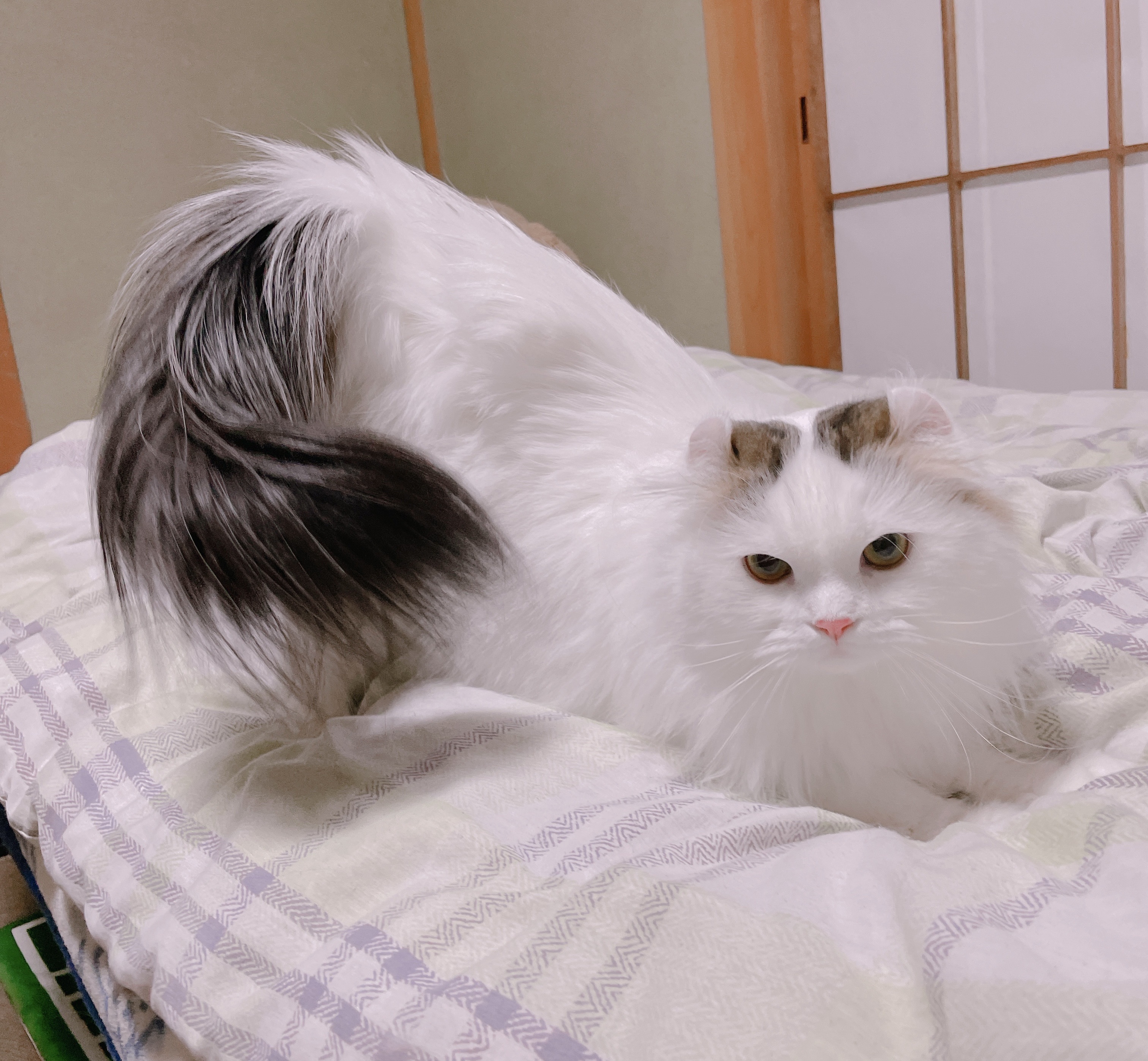 21年06月17日 ふうたくんの日常 21年06月17日 ふうたくんの日常