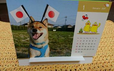 2016年柴犬孝太のカレンダー