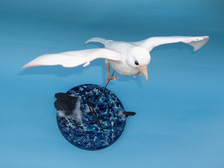 鳥を見たかい? : フクロムシ&コブクロムシ怪獣なんでも研究所 鳥を見たかい? : フクロムシ&コブクロムシ怪獣なんでも研究所