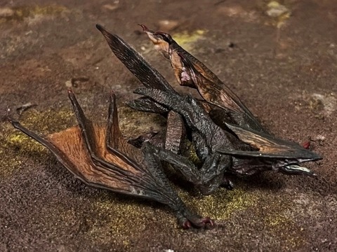 image1 (640x480) (2)