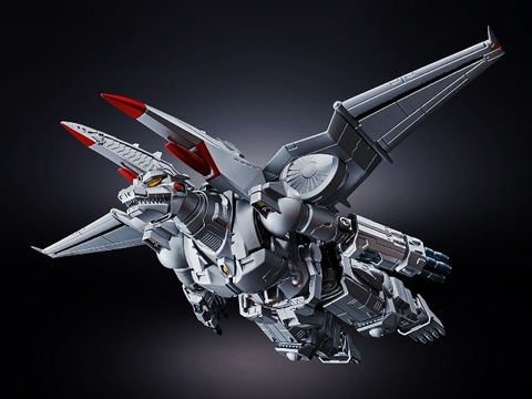 1000114643_4 (640x480)