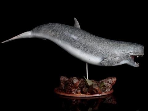 61YrYHFFPNL._AC_SL1500_ (640x481)