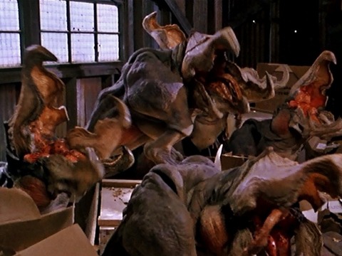 20190102165029847 (2) (640x480)