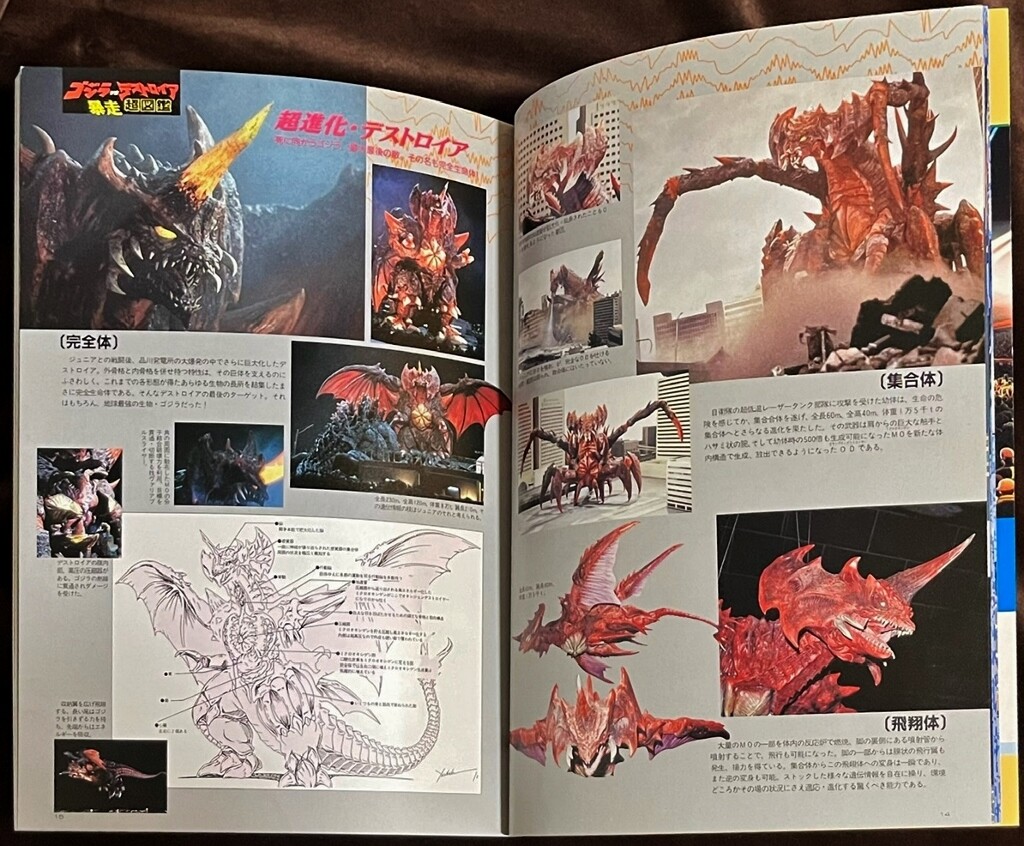 【当時物】ゴジラVSデストロイア 1996年 カレンダー 東宝 特撮 希少 宇宙船別冊 1996 総力特集 ゴジラ vs デストロイア : フクロムシ怪獣