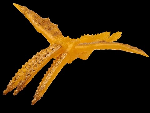 090322dc89101246647a87bbb1aefa2121 (1) (640x481)