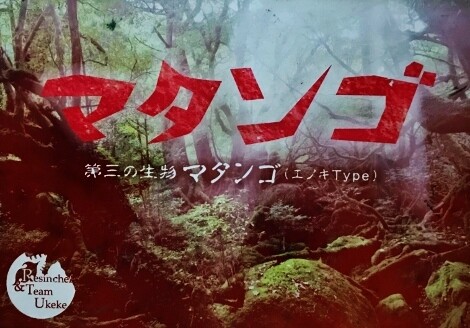 エノキかナメコかマタンゴか フクロムシ コブクロムシ怪獣なんでも研究所