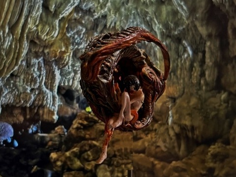 image1 (640x480) (2)