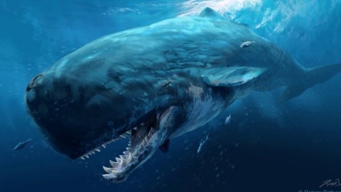 1856 (800x450) (686x386)