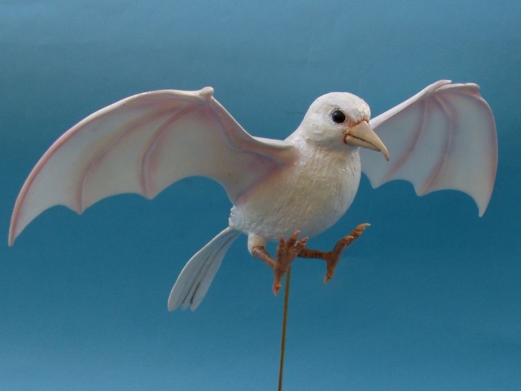 鳥を見たかい? : フクロムシ&コブクロムシ怪獣なんでも研究所 鳥を見たかい? : フクロムシ&コブクロムシ怪獣なんでも研究所