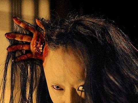 o0768043215414350683