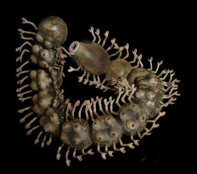 彼岸島の姫 : フクロムシ＆コブクロムシ怪獣なんでも研究所