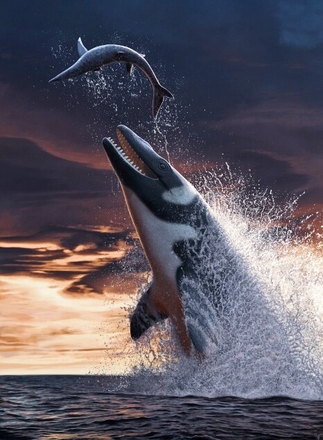 Fa7sEPSVUAAFGdF (470x640)