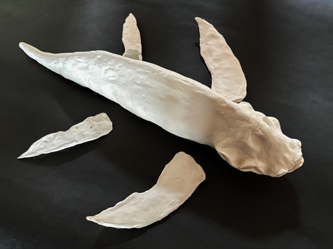 image1 (640x480) (2)