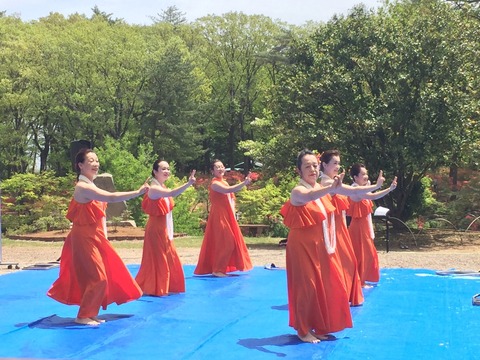 20170507_110520801_iOS