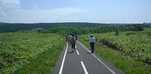 large_3b67748bf5-photo02
