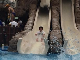 large_43e4bff6b7-271