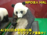 動物園宣伝