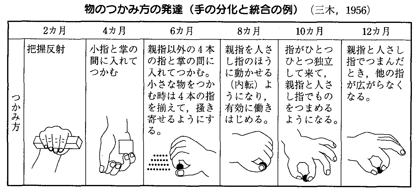 発達心理学 ５回 乳児期の発達 山口先生の心理学教室