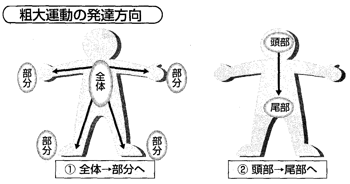 発達心理学 ５回 乳児期の発達 山口先生の心理学教室