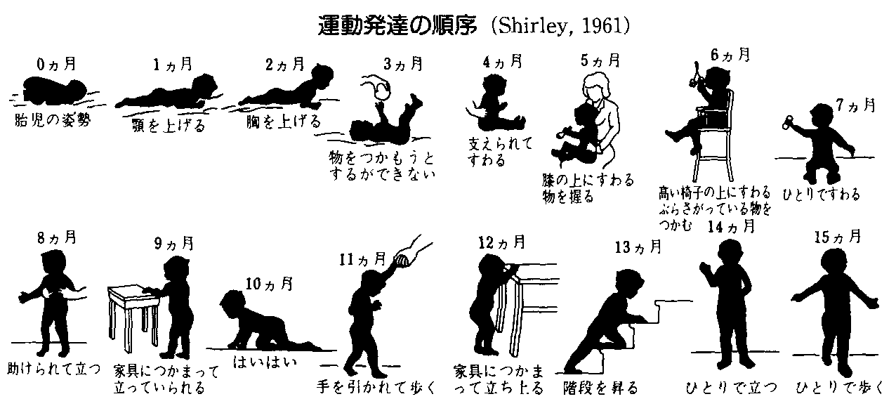 発達心理学 ５回 乳児期の発達 山口先生の心理学教室