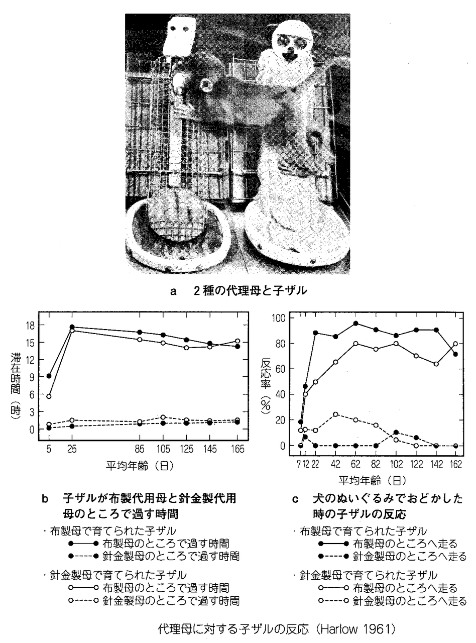 人間発達と初期環境 : 初期環境の貧困に基づく発達遅滞児の長期追跡研究 環境心理学 5回 発達における初期経験の重要性 : 山口先生の